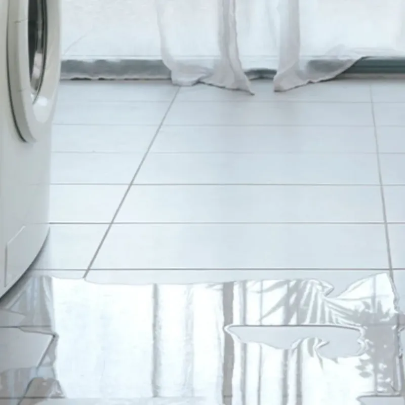 Appliance Leak Cleanup in Del Rio, CA